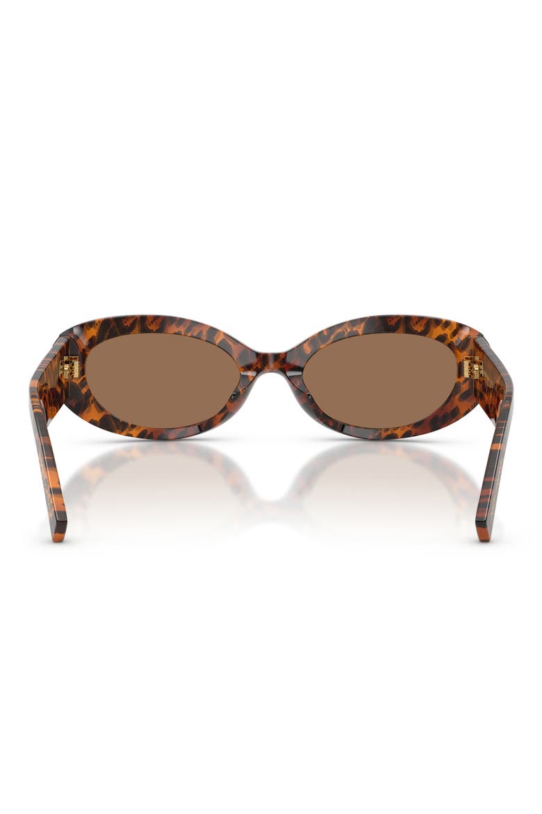 53mm Oval Sunglasses, Alternate, color, LEO TRANSPARENT / DARK BROWN