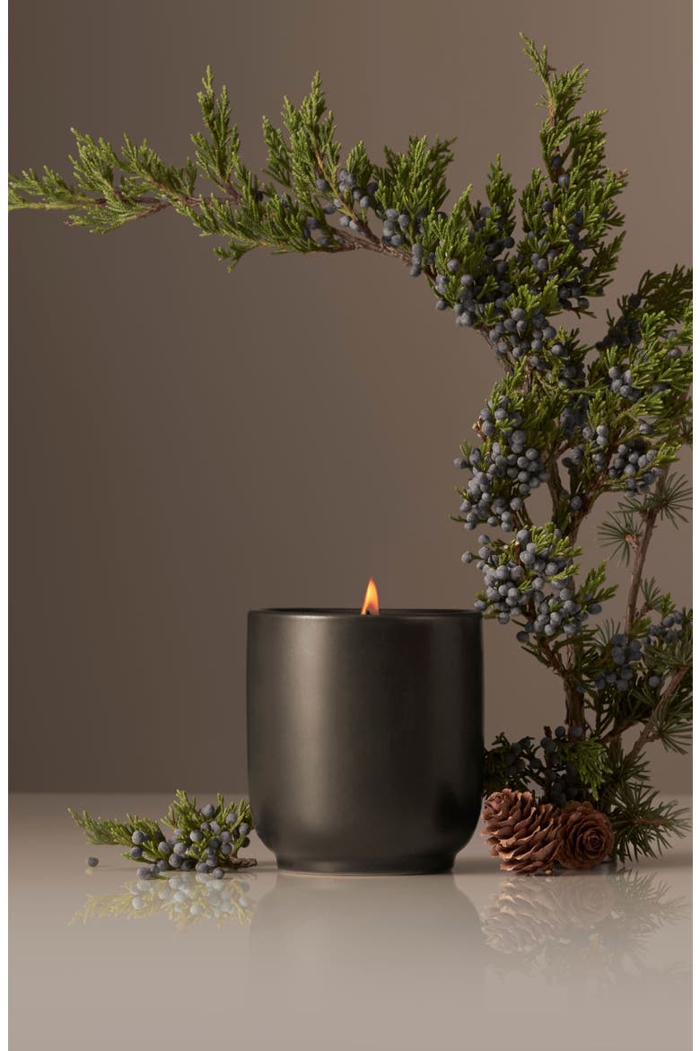 Balsam Fireplace Scented Candle, Alternate, color, DARK GREEN