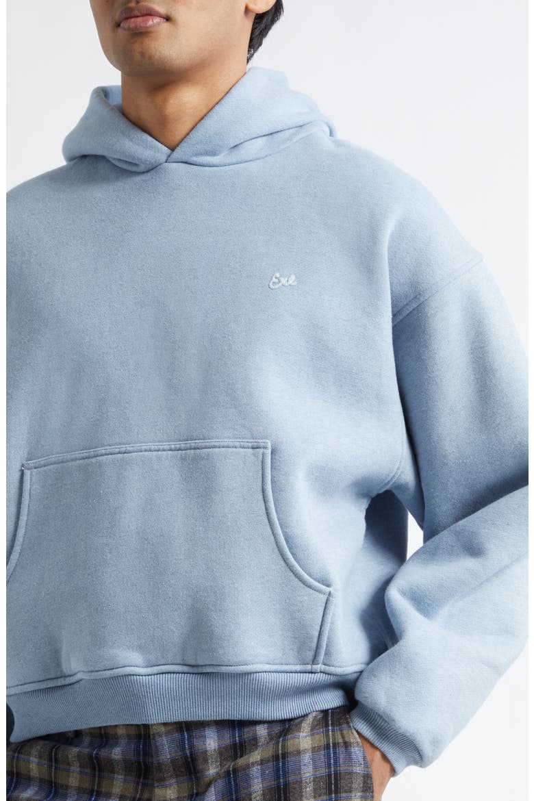 Gender Inclusive Fleece Hoodie, Alternate, color, BLUE