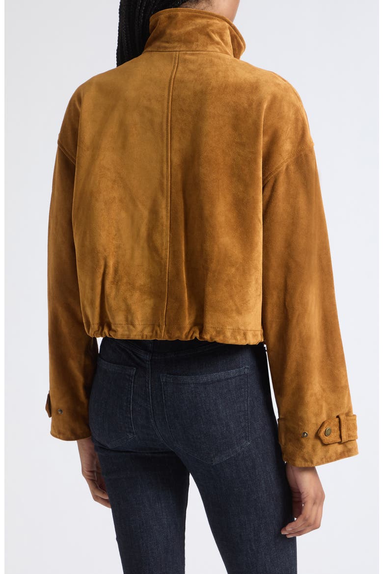 Bateman Suede Jacket, Alternate, color, ACORN