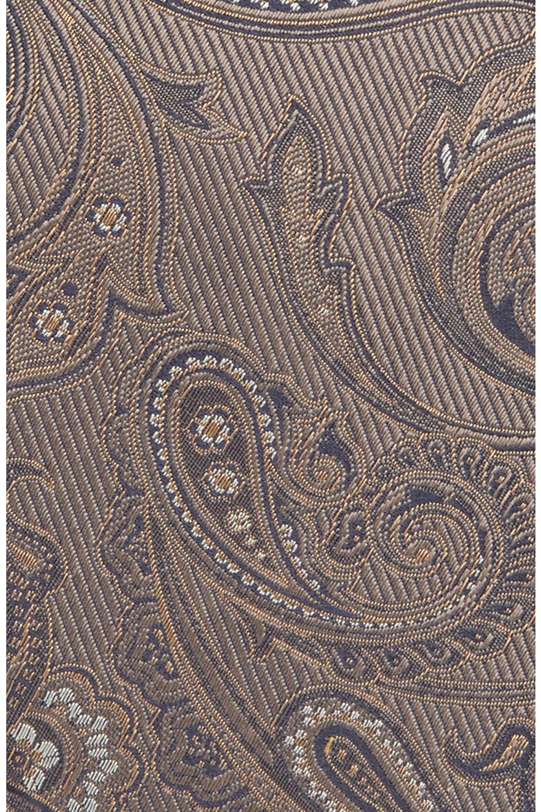 Paisley Silk Tie, Alternate, color, LIGHT BROWN