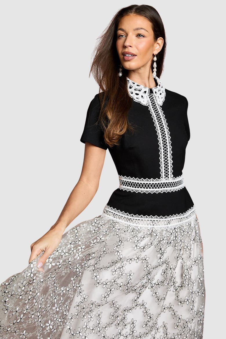 Embroidered Mesh Skirt Midaxi Dress, Alternate, color, Mono