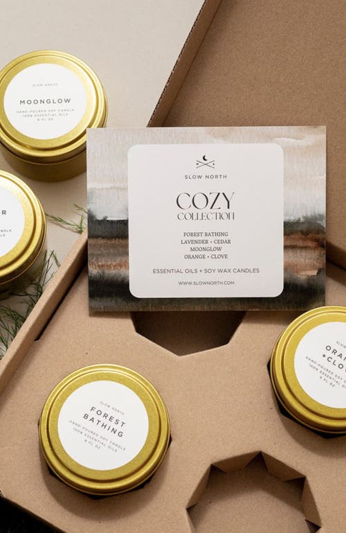 SLOW NORTH Cozy Collection - 4 Pack at Nordstrom