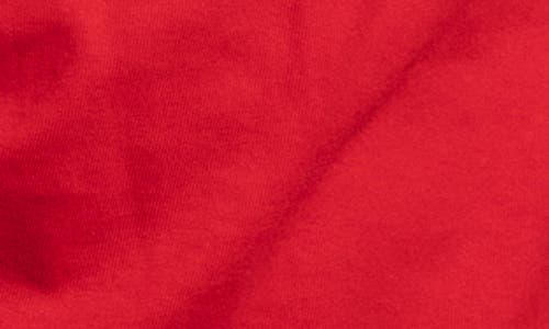 Elwood Vintage Wisconsin Badgers Football Tee In Red