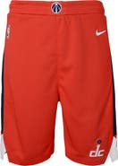 Nike Youth Nike Red Washington Wizards Swingman Performance Shorts – Icon Edition