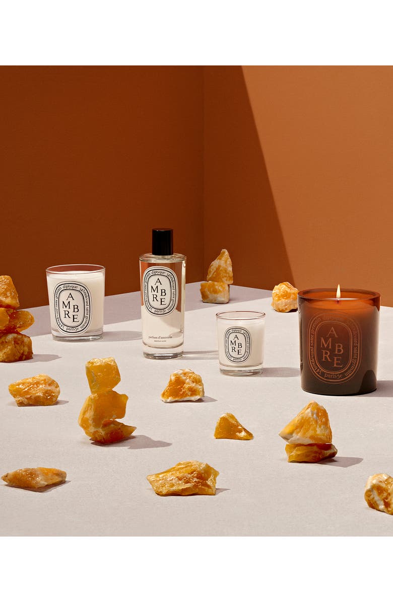 Diptyque Ambre (Amber) Scented Candle, Alternate, color,