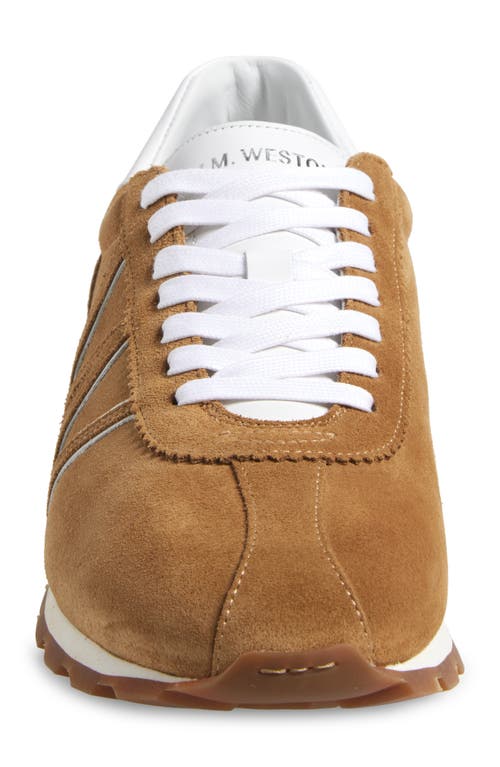 Jm Weston Animation On My Way Sneaker In Sand/white