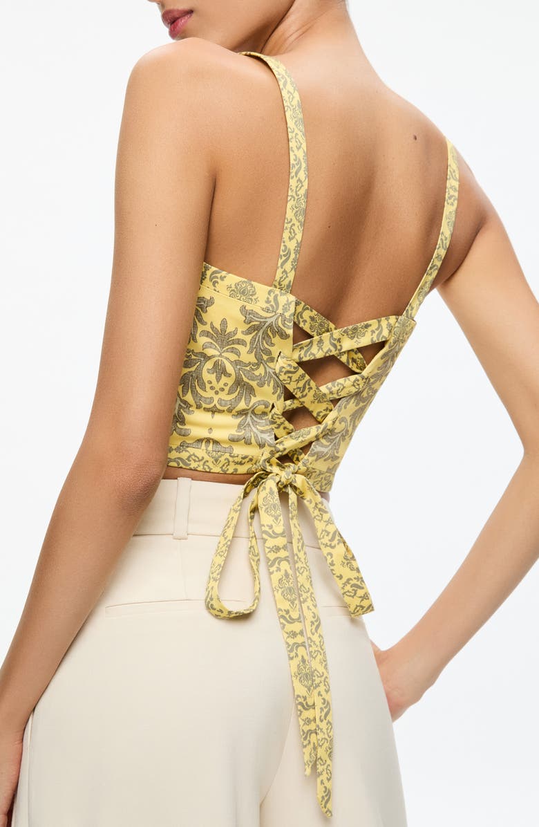 Alice + Olivia Sasha Paisley Lace-Up Crop Top, Alternate, color,