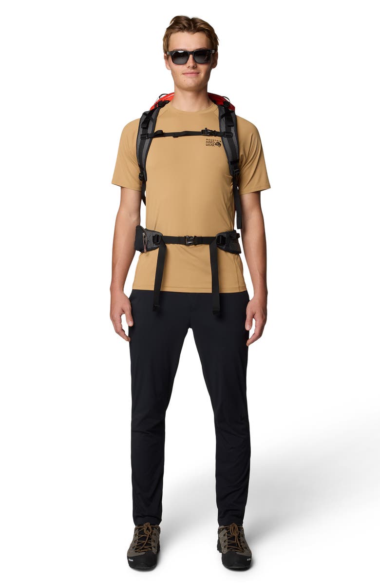 Mountain Hardwear Dynama Pants, Alternate, color,