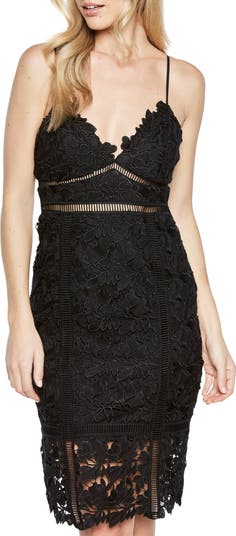 Bardot Botanica Lace Dress | Nordstrom