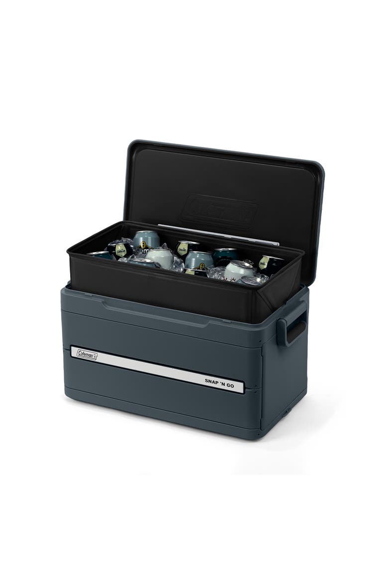 Snap 'N Go 35-Quart Collapsible Hard Cooler, Alternate, color, Mussel Grey