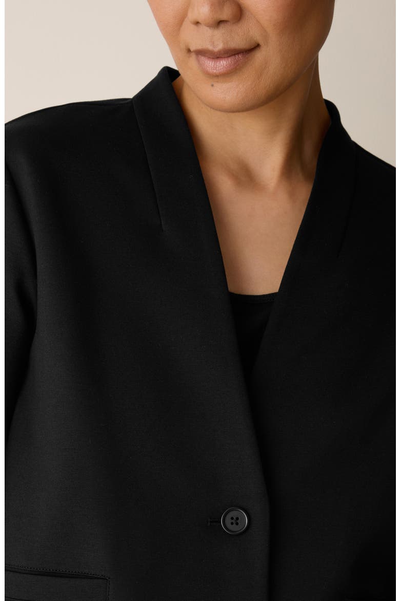 High Collar Cropped Jacket, Alternate, color, BLACK