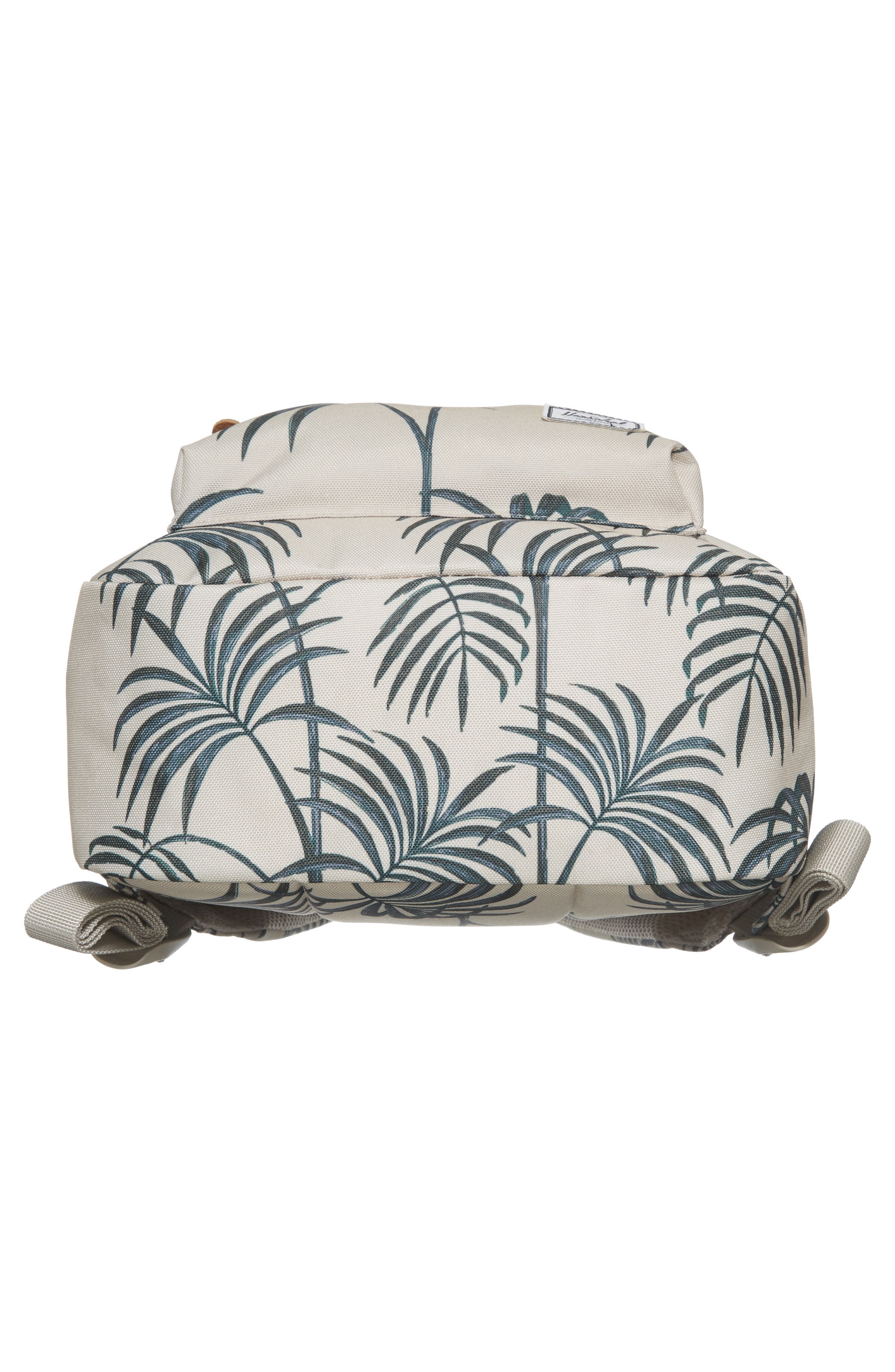 'Settlement Mid Volume' Backpack, Alternate, color, PELICAN PALM