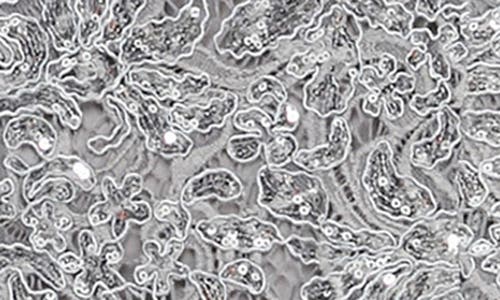 Alex Evenings Sequin Corded Lace Off The Shoulder Gown In Pewter