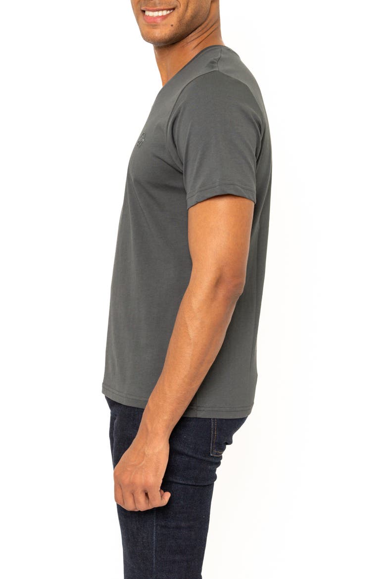 Montpellier V-Neck Cotton T-Shirt, Alternate, color, GREY