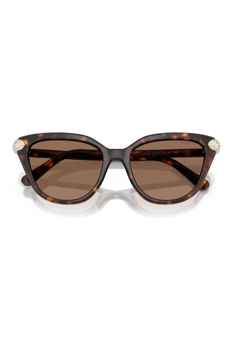 56mm Cat Eye Sunglasses, Alternate, color, HAVANA/ DARK BROWN