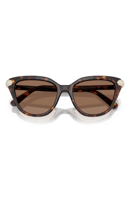 Swarovski Sk6038 Cat-eye Embellished Sunglasses In Havana/dark Brown