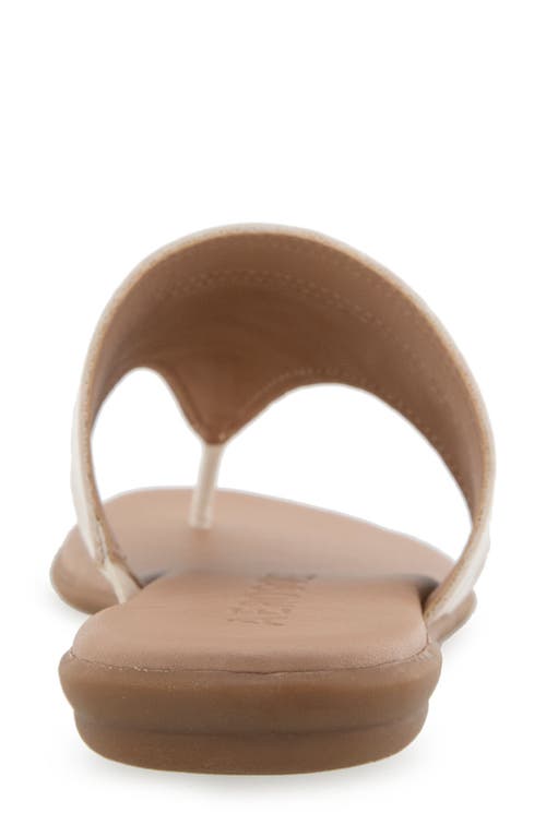 AEROSOLES AEROSOLES ILLIA POINTED TOE FLAT 