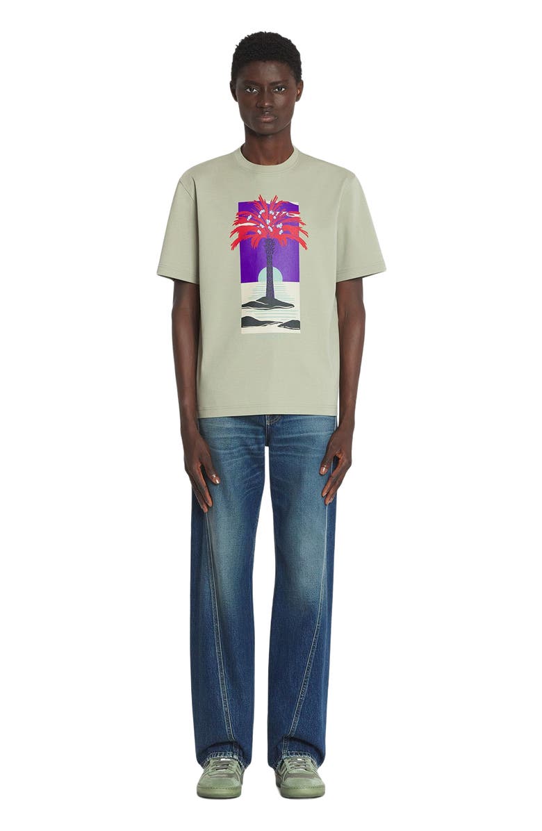Lanvin PRINTED T-SHIRT, Main, color, 