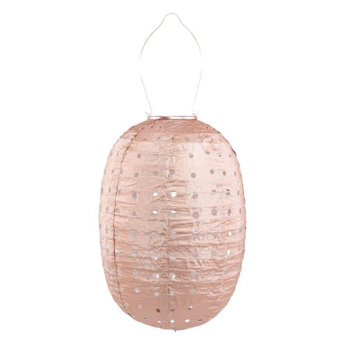 Allsop Home & Garden Soji Stella - Barrel Swiss Dot - Solar Lantern in Rose at Nordstrom