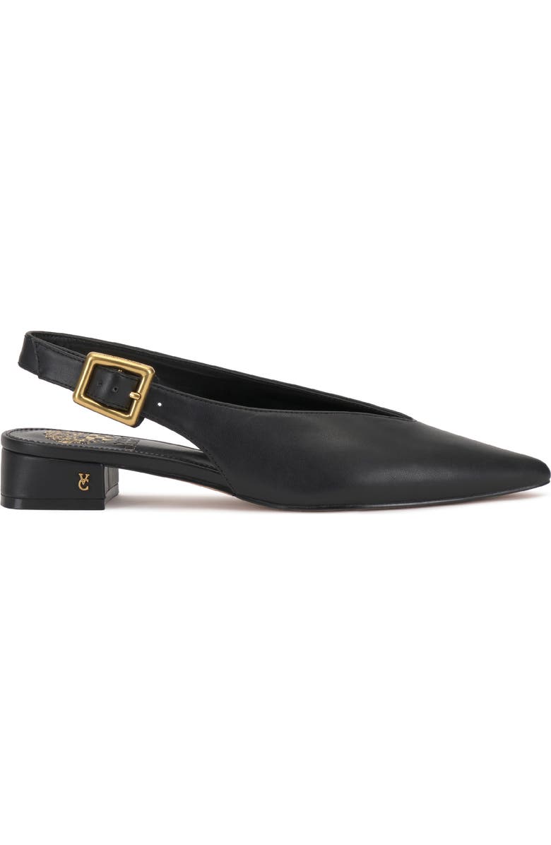 Vince Camuto Velana Pointed Toe Pump, Alternate, color, Black