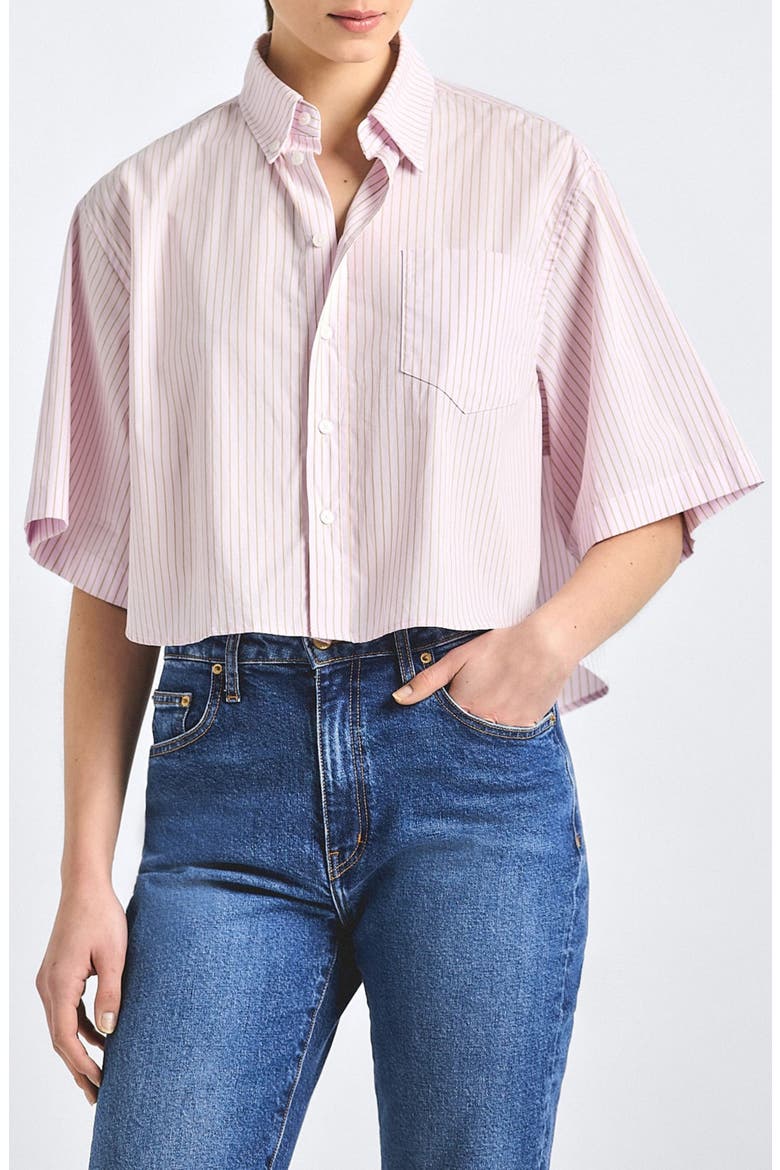 Ember Cropped Button-Up Shirt, Main, color, PINK STRIPE