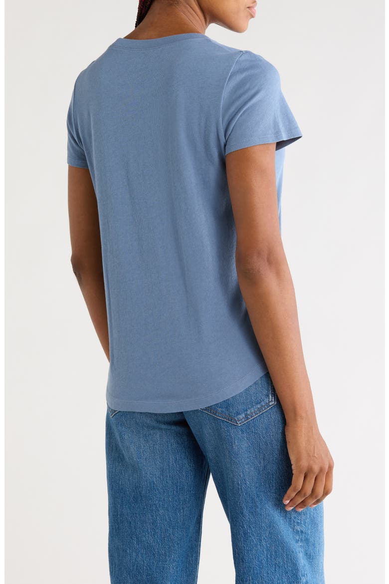 Vintage Crewneck Cotton T-Shirt, Alternate, color, CHALKED INDIGO