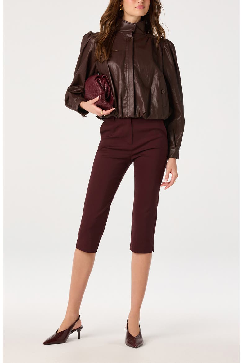 Estero Faux Leather Jacket, Alternate, color, BROWN