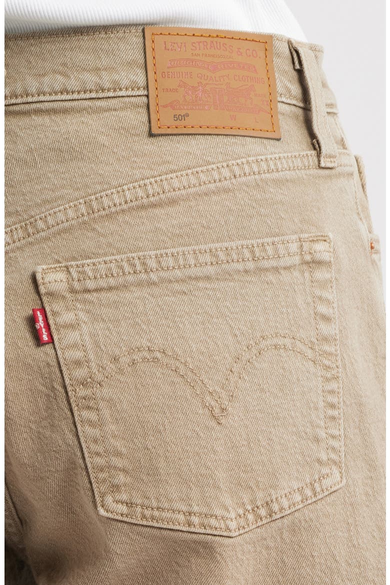 501® High Waist Mid Thigh Denim Cutoff Shorts, Alternate, color, CHIPPED WINTER TWIG