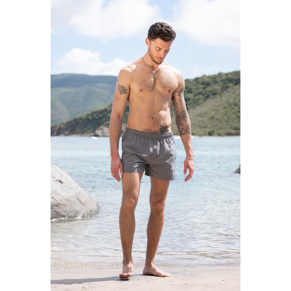 Auto-reply™ Sebastian Solid 4-inch Nylon Swim Trunks In Gray