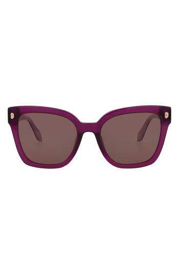 Just Cavalli 54mm Square Sunglasses In Violet Havana Brown