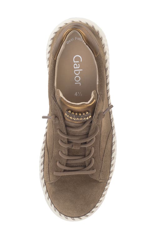 Gabor Platform Sneaker In Brown