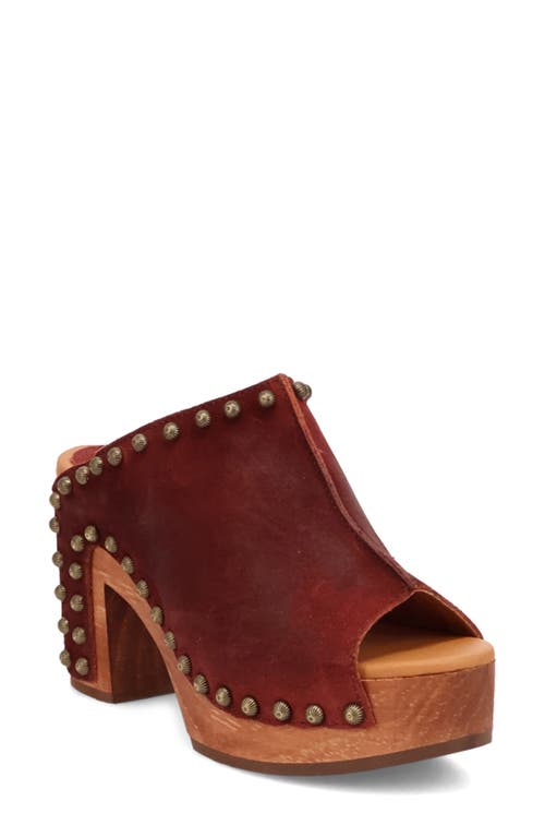 Dingo Echo Clog in Merlot 