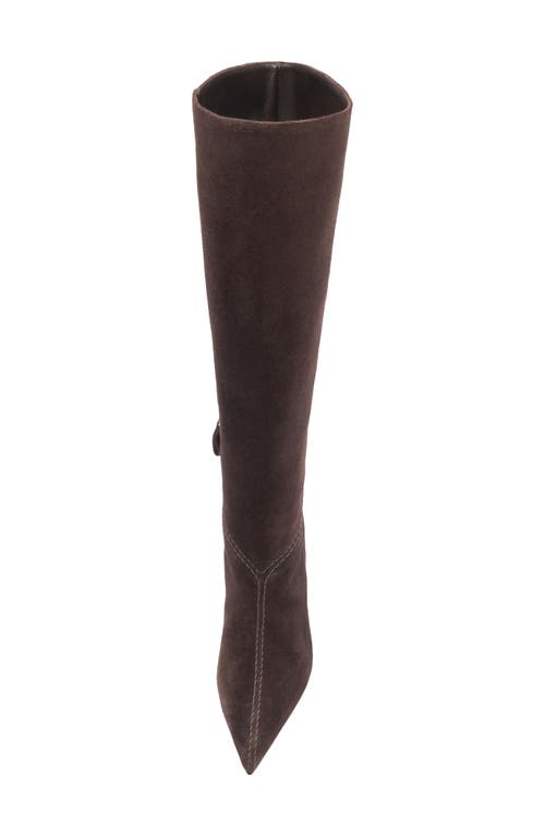 Alexandre Birman Malva Pointed Toe Knee High Boot In Brown