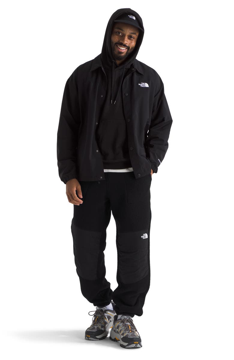 The North Face Retro Denali Water Repellent Recycled Polyester Fleece Pants, Alternate, color, 