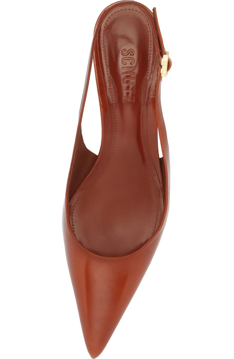 Schutz Rhonda Mid Slingback Pointed Toe Pump, Alternate, color, Caramel Top