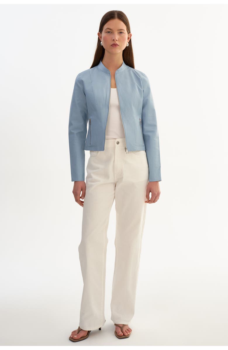 LAMARQUE Chapin | Reversible Leather Bomber, Alternate, color, Baby Blue/Silver