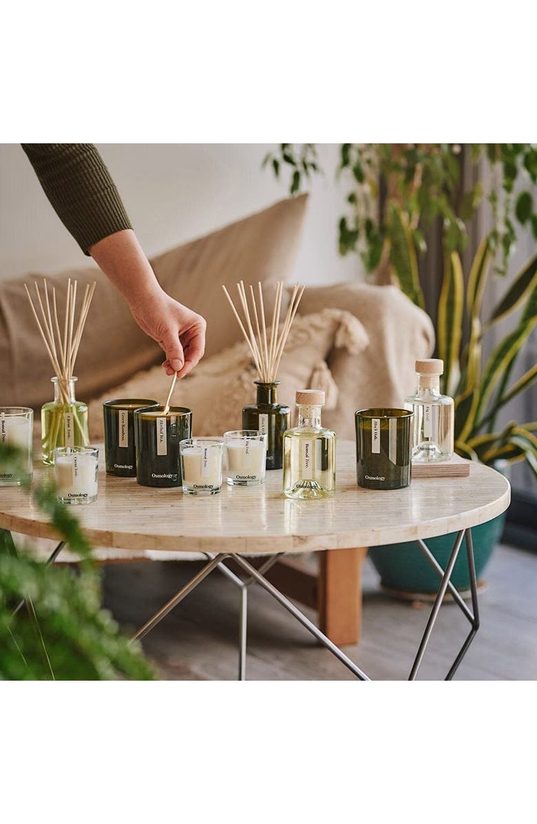 Osmology Black Oak Scented Candle - Cedarwood Cardamon and Nutmeg, Alternate, color, Black