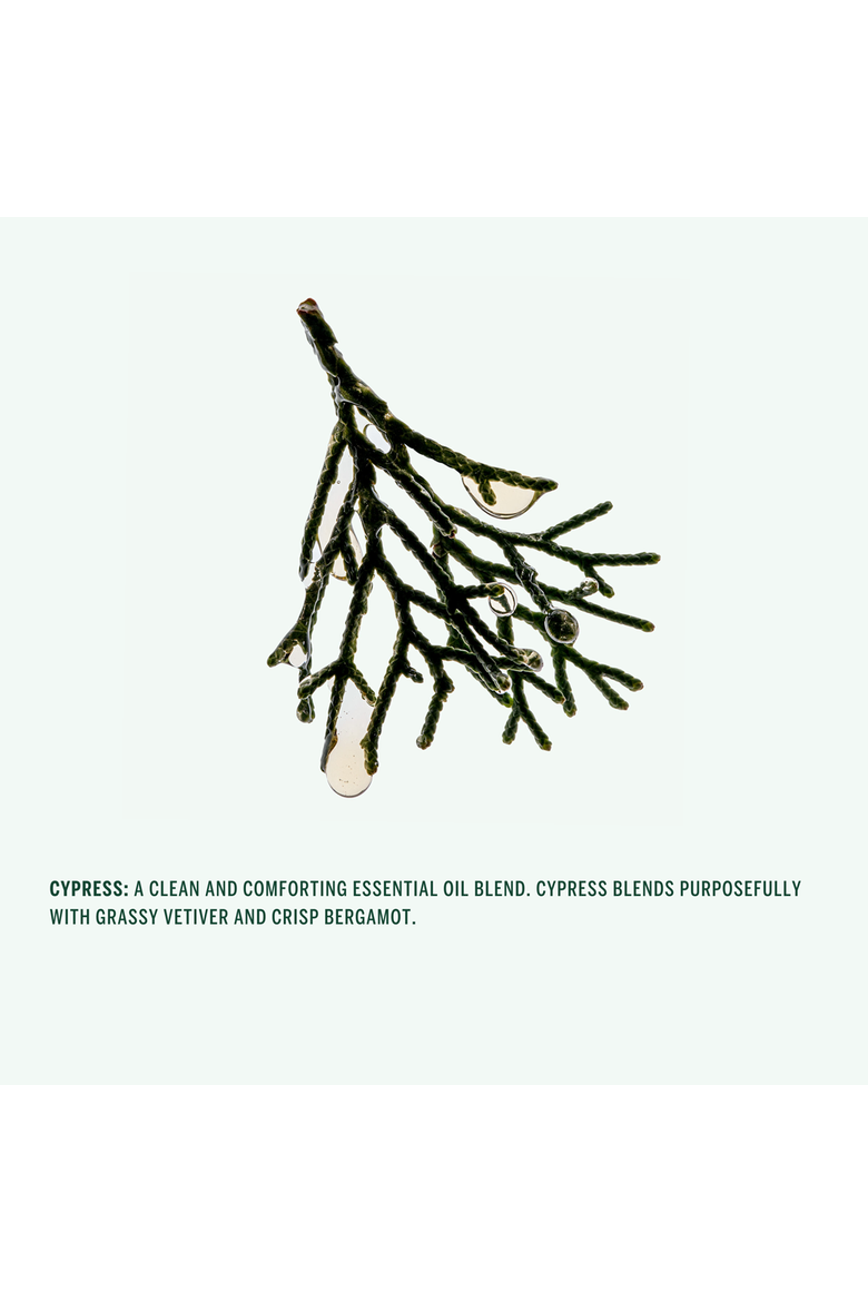Conditioner, Alternate, color, Cypress