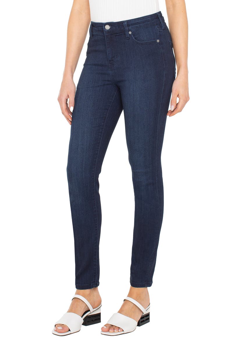 Liverpool High Rise Stretch Ankle Skinny Jeans, Alternate, color, LAKE FOREST