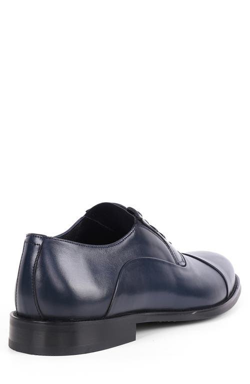 Vellapais Otto Oxford In Navy Blue