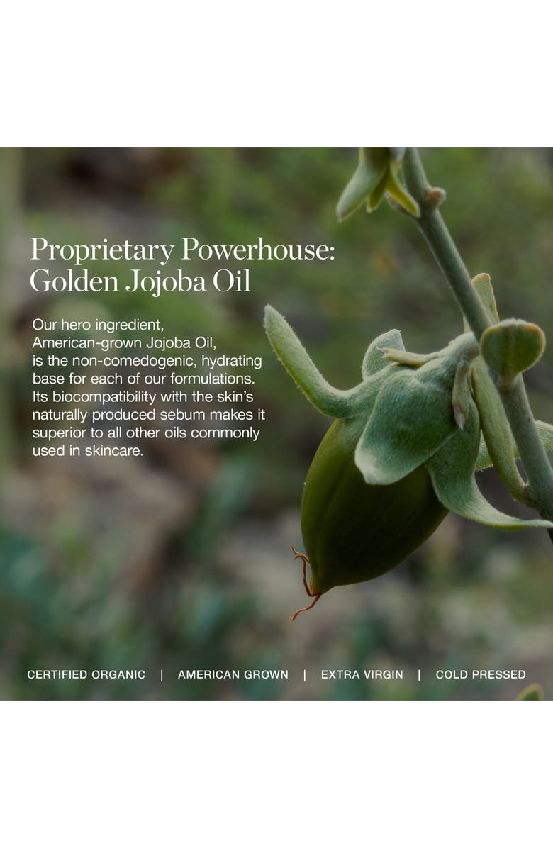 OGEE Complexion Perfecting Concealer, Alternate, color, Acacia