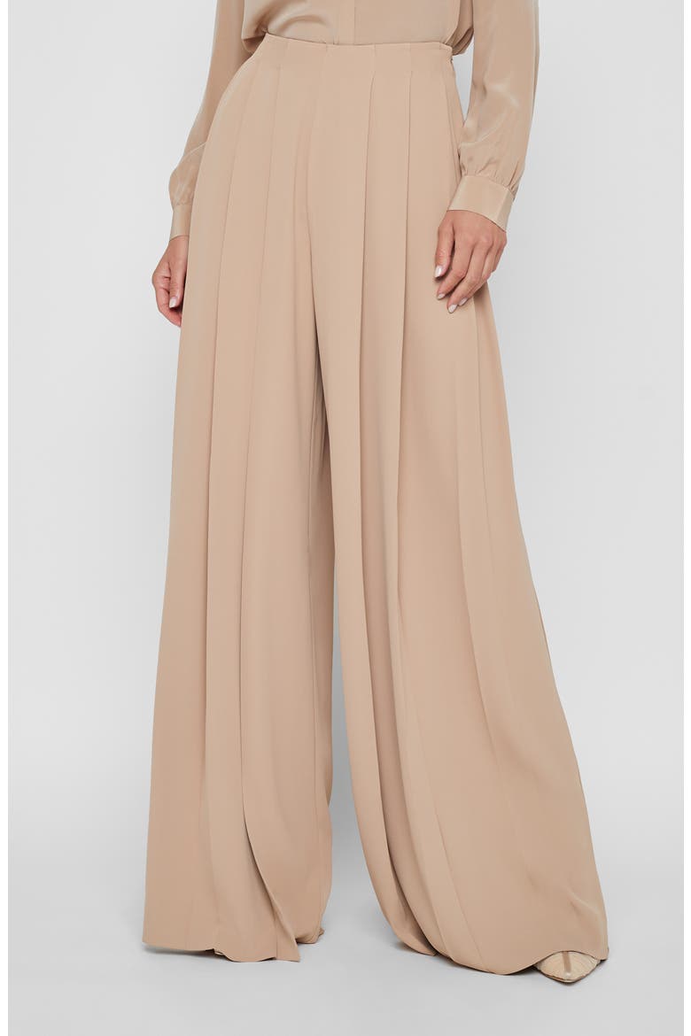 Nova Pleated Wide Leg Pants, Main, color, CAPPUCCINO
