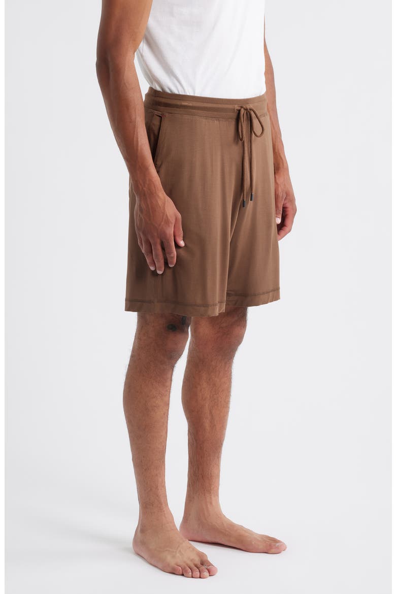 Stretch Modal & Silk Blend Pajama Shorts, Alternate, color, CHESTNUT