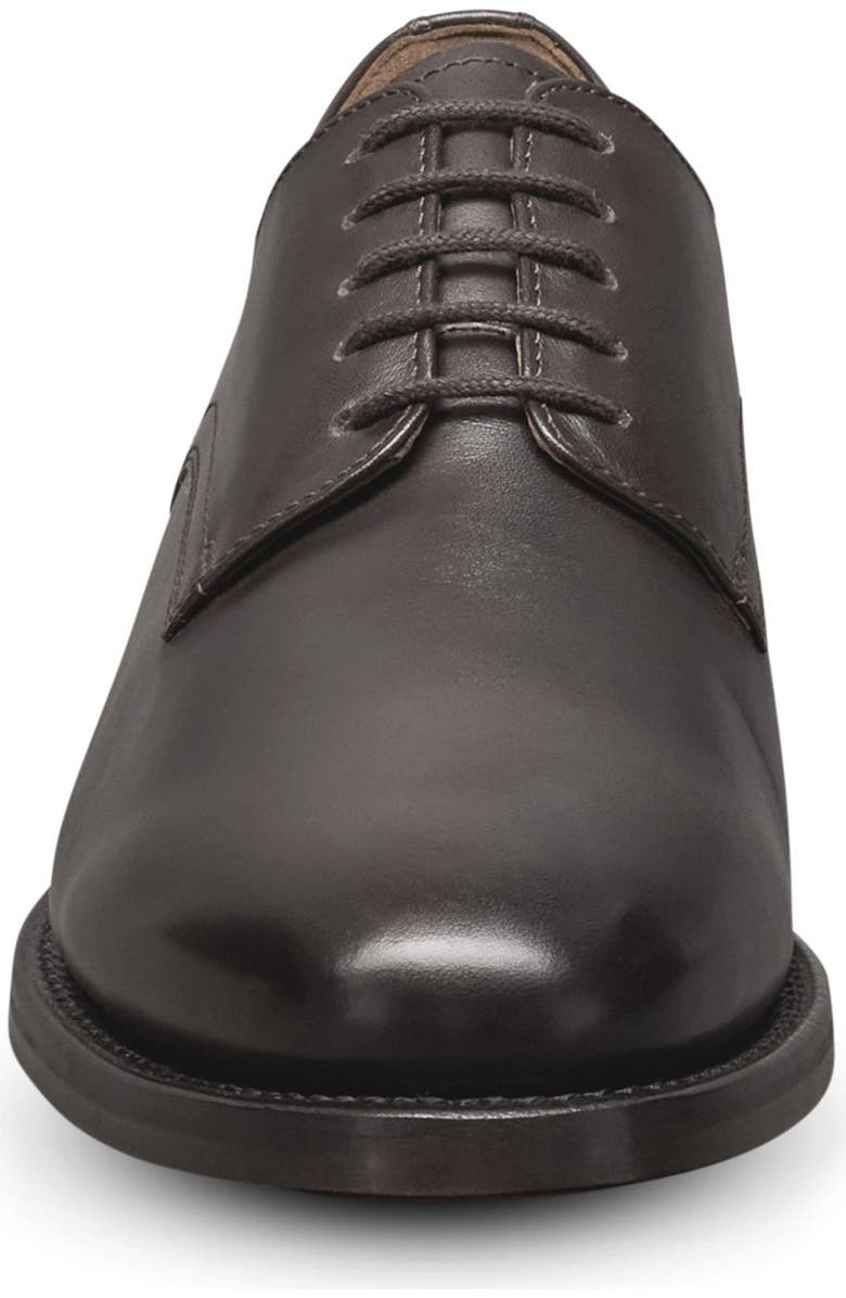 Allen Edmonds Henry Plain Toe Oxford, Alternate, color, Chestnut