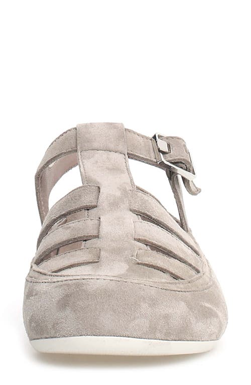 Candice Cooper Rock T-bar Fisherman Sandal In Slate