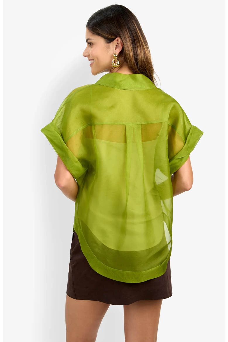 Costanzo Top, Alternate, color, Dark Fennel