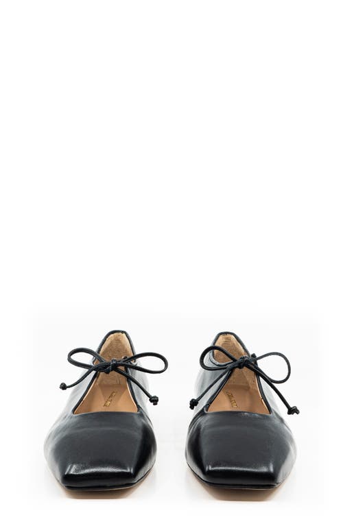 Andrea Gomez Amelia Leather Ballet Flats In Black