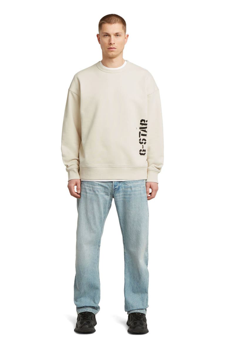 Sprayed 89 Loose Organic Cotton Crewneck Sweatshirt, Alternate, color, WHITEBAIT