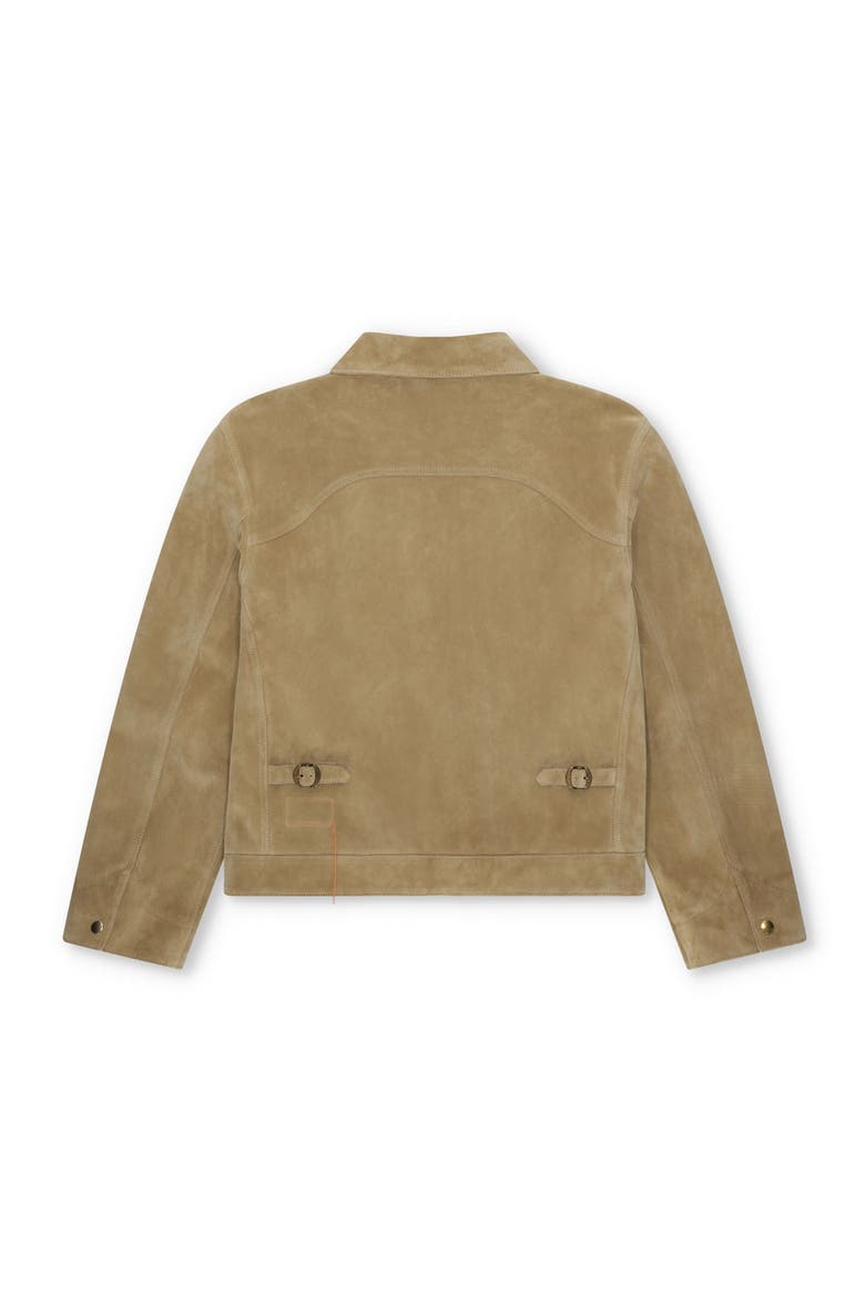 Rhode Suede Leather Jacket, Alternate, color, BEIGE